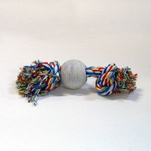 zsb006.jpg